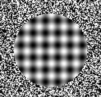 ERIKs�OPTICAL ILLUSIONS 2D