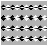 ERIKs�optical illusion3