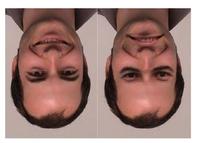 Eriks�Thatcher Illusion