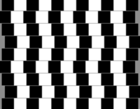 Eriks\'by Optical Illusions
