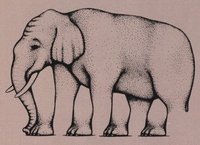 Eriks�legistenial elephant